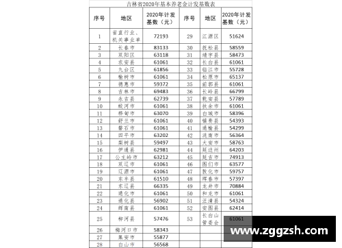 2017年广东养老金计发基数？(山东高速男篮赛程表2021-2022？)